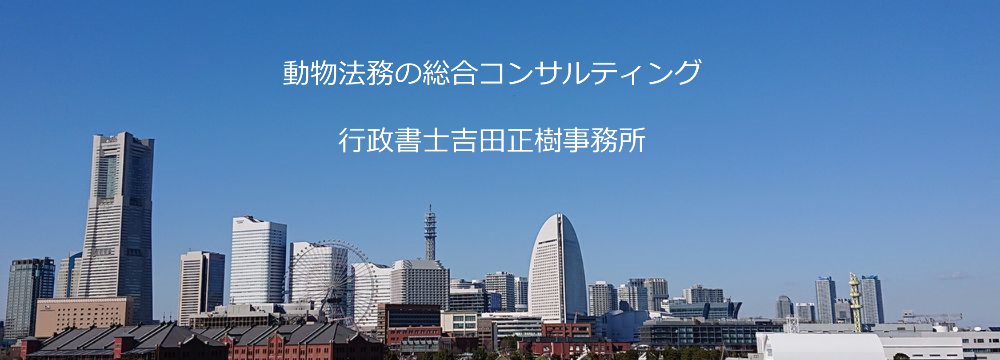 戵Ǘ҂̎iv
